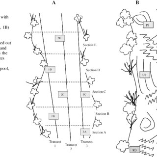 R Drawing Random Sample Pdf Collection Strategies for Quantifying Protist assemblages In