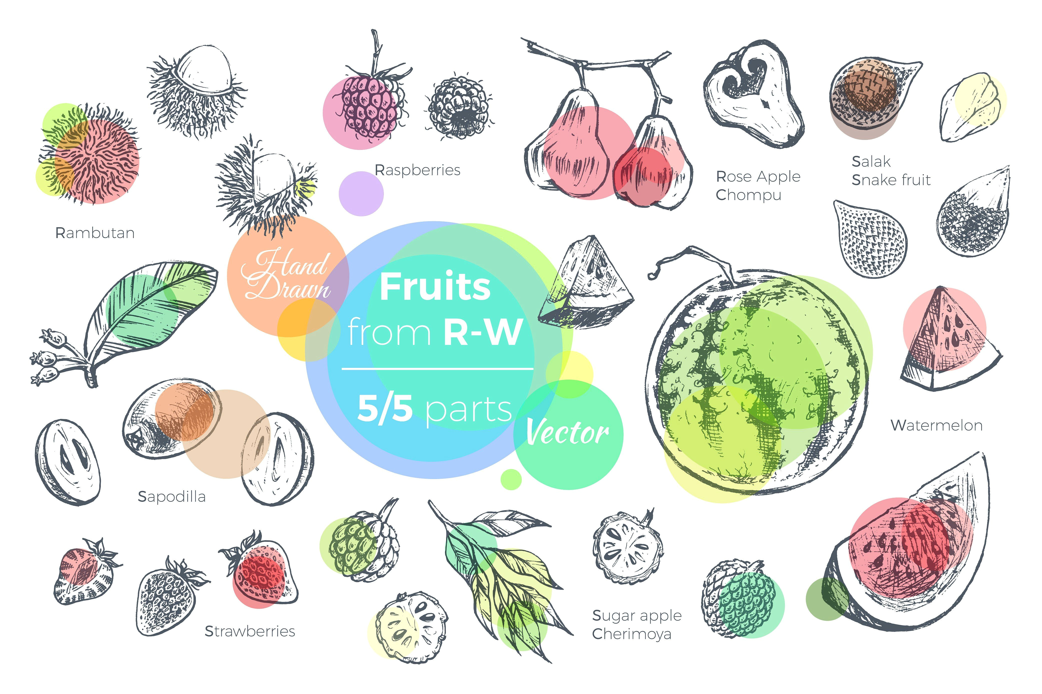 R Drawing Vectors Fruits Hand Drawn Vector Set Exotic Tropical Vector Packaging