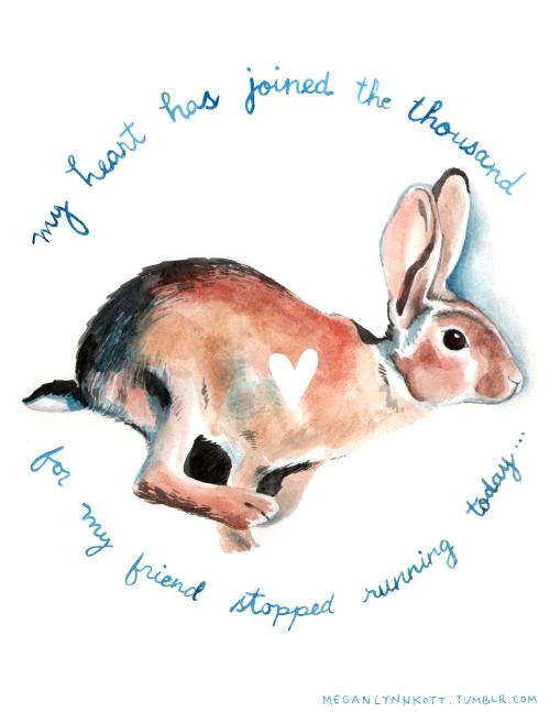 Rabbit Drawing Tumblr Drawing Megan Lynn Books Pinterest Illustrations Drawings