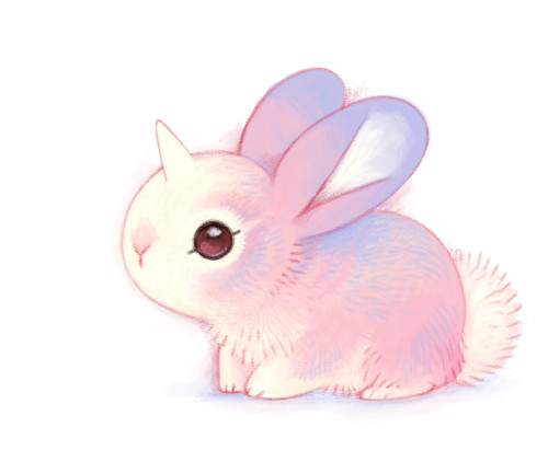 Rabbit Drawing Tumblr Little Moonbunny Boomerduwanger Sam Bragg Bunnicorn or