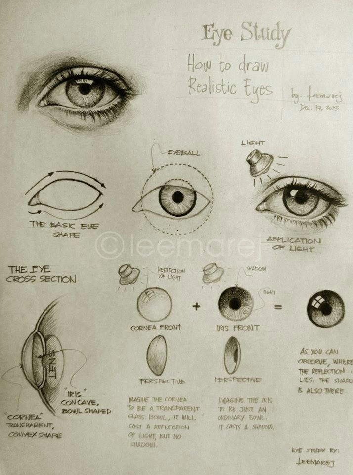 Realistic Drawing Of A Wolf Eye Eye Study How to Draw Realistic Eyes Thank You Olivia Garca A