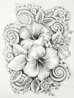 Realistic Drawings Of Flowers In Color 61 Best Art Pencil Drawings Of Flowers Images Pencil Drawings