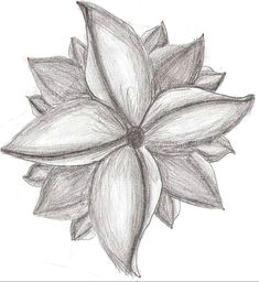 Realistic Drawings Of Flowers Step by Step 61 Best Art Pencil Drawings Of Flowers Images Pencil Drawings