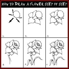 Realistic Drawings Of Roses Step by Step 100 Best How to Draw Tutorials Flowers Images Drawing Techniques