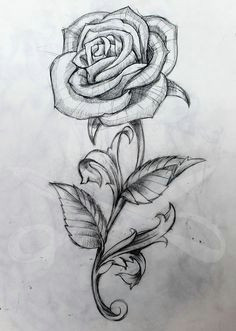 Rose Drawing Tumblr Easy Rose Drawings Rose Pencil Drawing by Skytiger On Deviantart