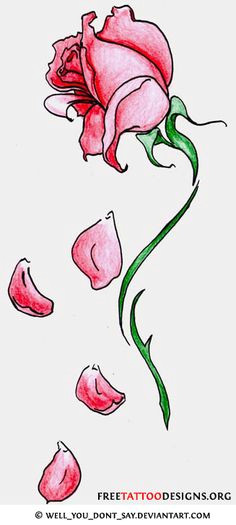 Rose Petals Drawings 45 Best Rose Petals Tattoo Images Pink Petals Rose Flowers Rose