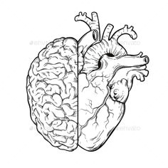 Scientific Drawing Of A Heart How to Draw A Heart Science Drawing Lesson Drawing Ideas 3 In