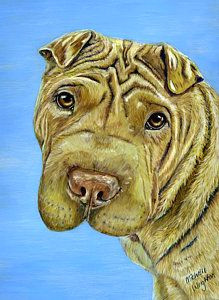Sharpei Dog Drawing 46 Best Shar Pei Clipart Images Shar Pei Dog Breeds Dog Shar Pei