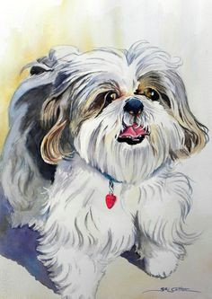 Shih Tzu Dog Drawing 23 Best Shih Tzu Images Cute Dogs Shih Tzus Dog Paintings