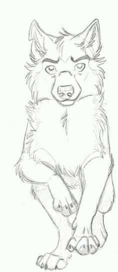 Simple Drawing Of A Cartoon Wolf 217 Best Cartoon Wolf Images Animal Drawings Sketches Of Animals