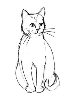 Simple Drawing Of A Cat Face 300 Best Drawing Cats Images In 2019 Draw Animals Cat