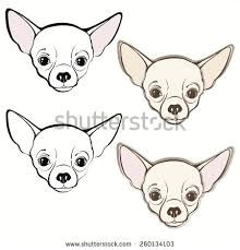 Simple Drawing Of A Chihuahua Dog 205 Best Buddy My Chihuahua Images Cute Puppies Cute Baby Dogs