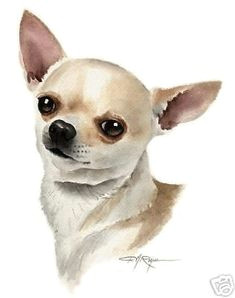 Simple Drawing Of A Chihuahua Dog 586 Best Watercolor Painting Of Chihuahuas Images In 2019 Animal