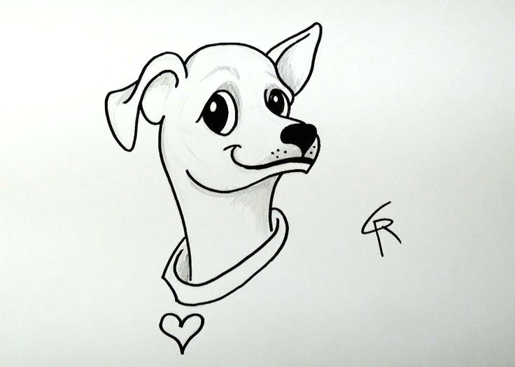 Simple Drawing Of A Chihuahua Dog Easy Drawing Lessons Http Fullcoloring Com Easy Drawing Lessons