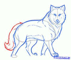 Simple Drawing Of A Gray Wolf 156 Best Volodia Vulkovich Images In 2019 Drawings Pictures