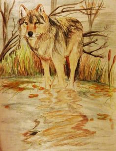 Simple Drawing Of A Gray Wolf 257 Best Wolves In Art 2 Images Wildlife Art Gray Wolf Timber Wolf