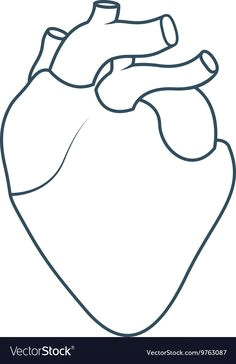 Simple Drawing Of A Human Heart Pin by Muse Printables On Printable Patterns at Patternuniverse Com