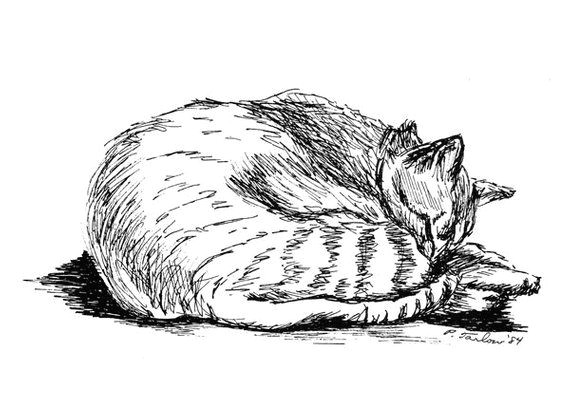 Simple Drawing Of A Tabby Cat Tabby Cat Drawing Cat Pen and Ink Tabby Cat Print Tabby Cat Pen