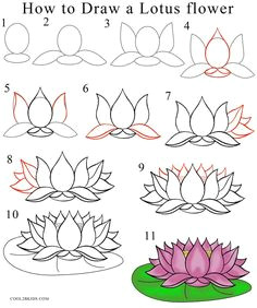 Simple Drawing Of Lotus Flower 361 Best Drawing Flowers Images Drawings Drawing Techniques