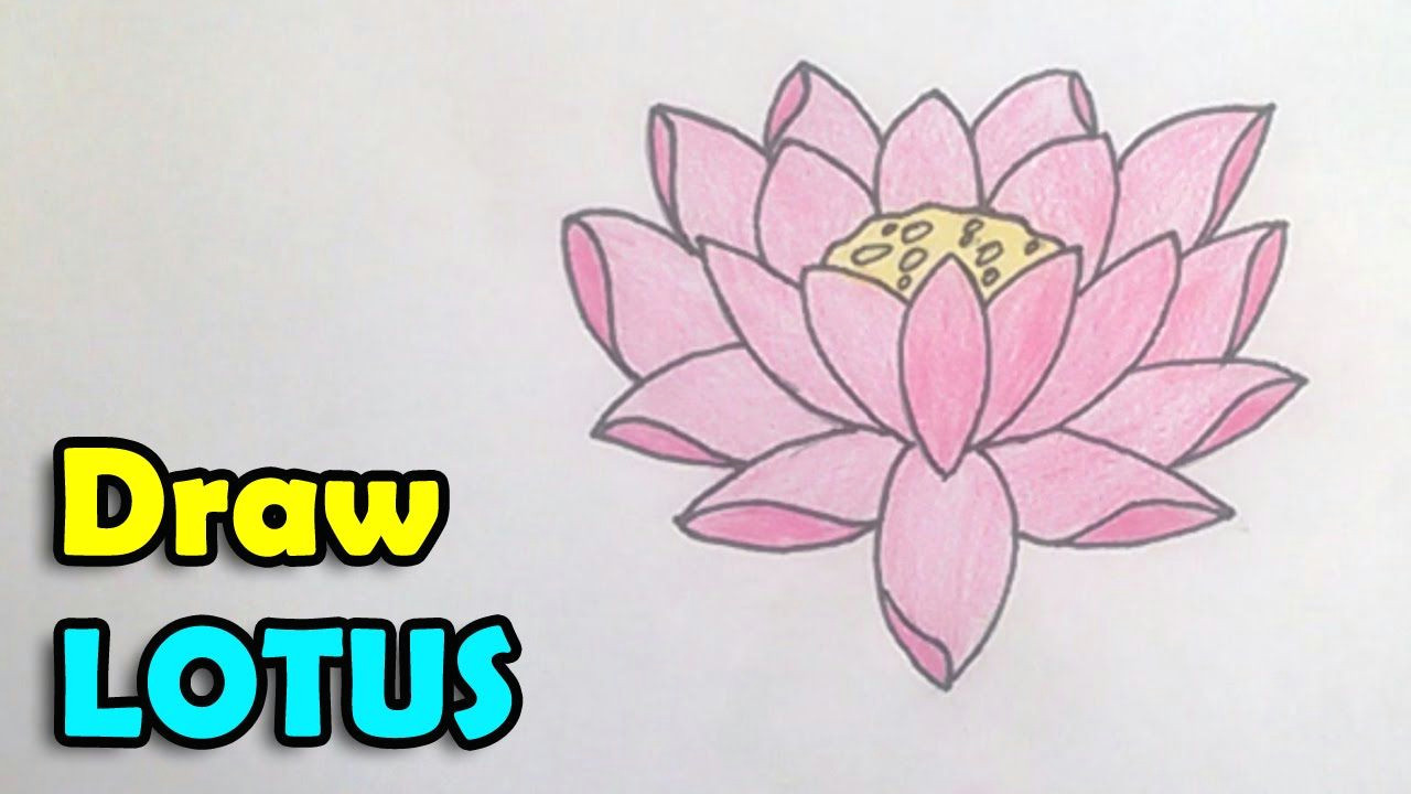 Simple Drawing Of Lotus Flower How to Draw Lotus Flower Step by Step Easy In This Video We are