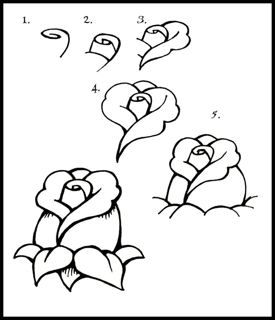 Simple Drawings Of Roses Step by Step 100 Best How to Draw Tutorials Flowers Images Drawing Techniques