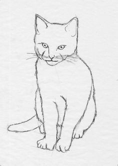 Sketch Drawing Of A Cat 300 Best Drawing Cats Images In 2019 Draw Animals Cat