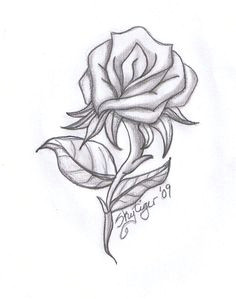 Sketch Of Rose for Drawing 40 Best Beautiful Drawn Roses Images Drawing Techniques Rose