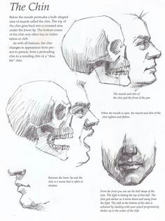 Skull Drawing Angles 15 Best Drawing Head From Different Angle Images Art Drawings