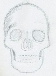 Skull Drawing Basic 213 Best Skull Sketch Images Skull Skulls Skull Tattoos