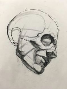 Skull Drawing Basic 742 Best Figure Head Images In 2019 Draw Drawings Sketches