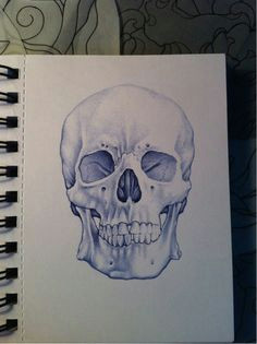 Skull Drawing Biro 63 Best Ball Point Pen Art Images Ballpoint Pen Drawing Pen