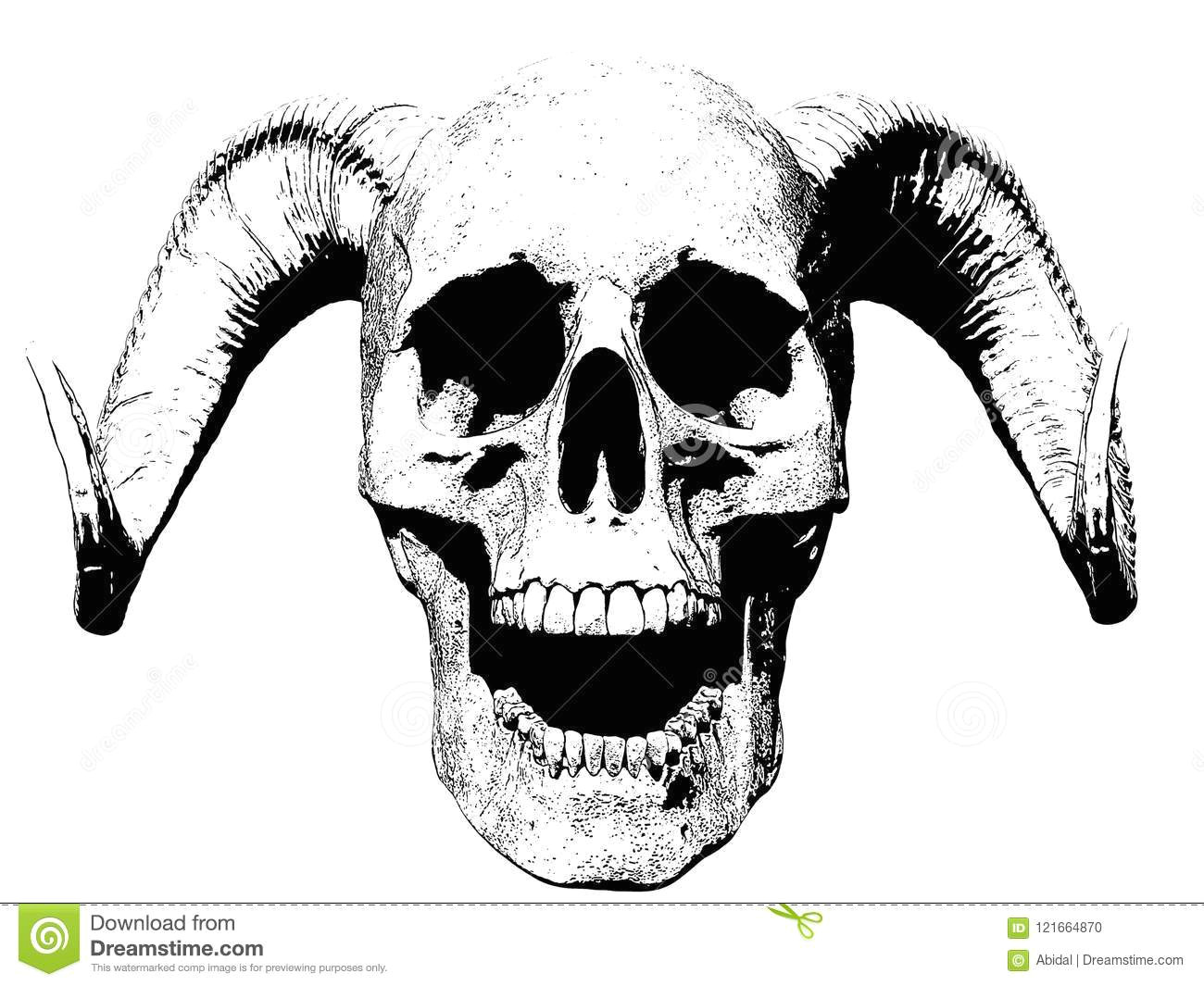 Skull Drawing Black Background Skull Screaming isolated In White Background Stock Illustration