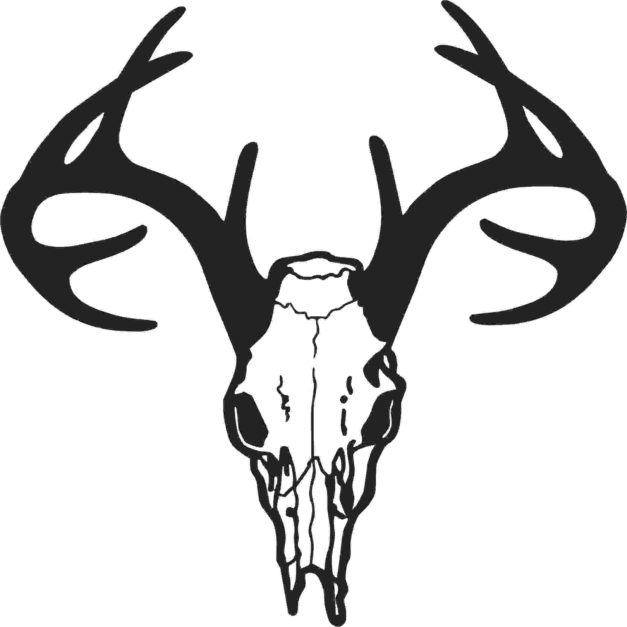 Skull Drawing Black Background This is Best Deer Skull Clip Art 14201 Deer Skull Drawing Free