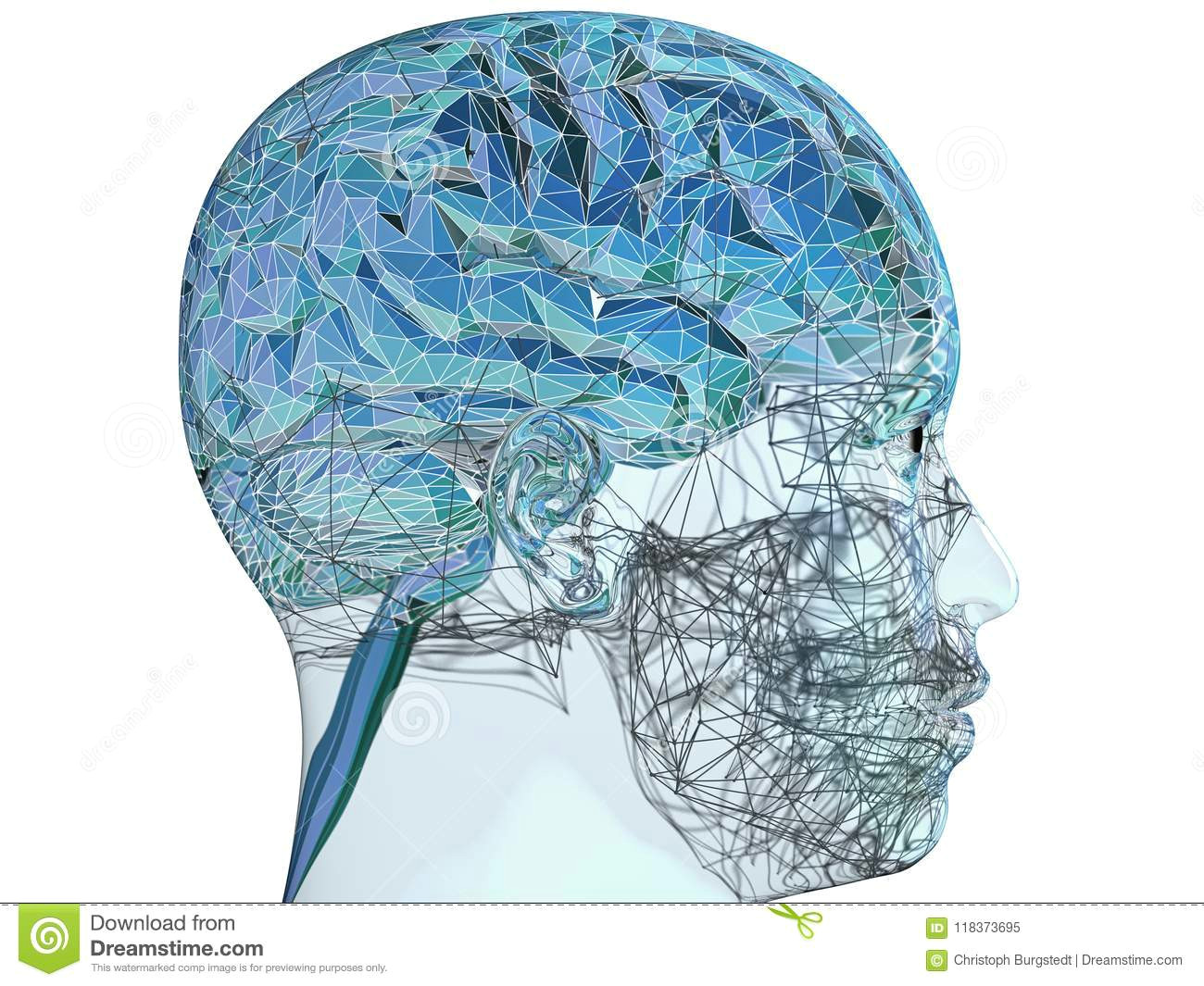 Skull Drawing Brain 3d Illustration Of A Transparent Human Refractive Skull with