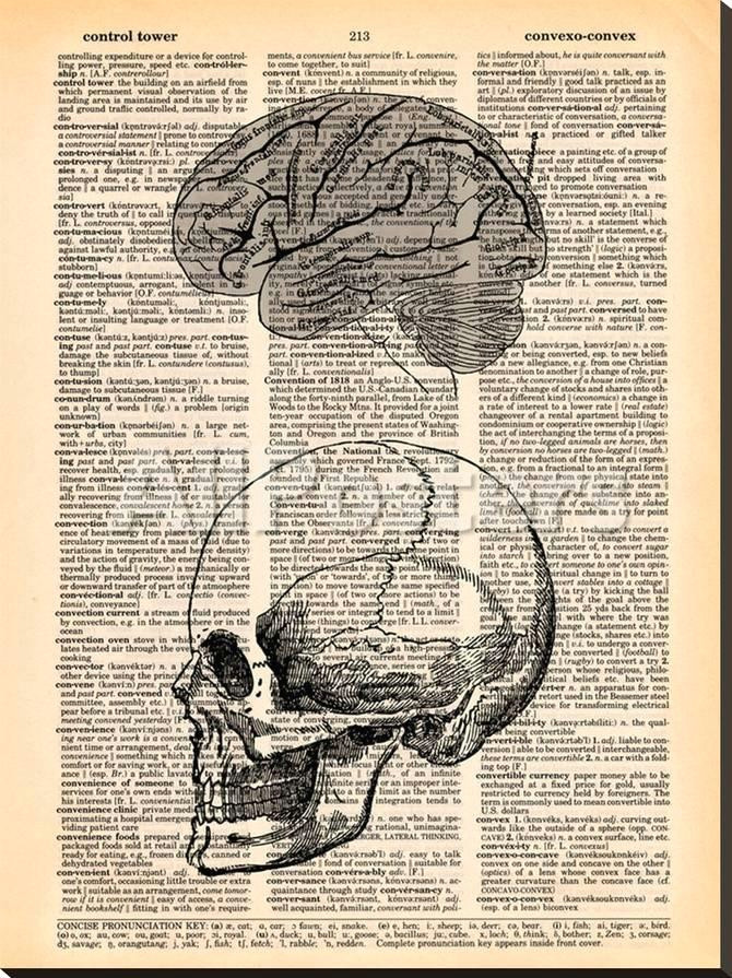 Skull Drawing Brain Skull Brain Prints by Book Dictionary Art at Allposters Com