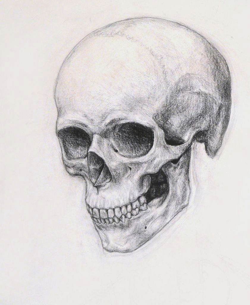 Skull Drawing Charcoal Realistic Skull Drawing Realistic Skull Drawing How to Draw A Skull