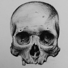 Skull Drawing Charcoal Skull Sketch Tattoo Skull Sketch Drawings Skull Art
