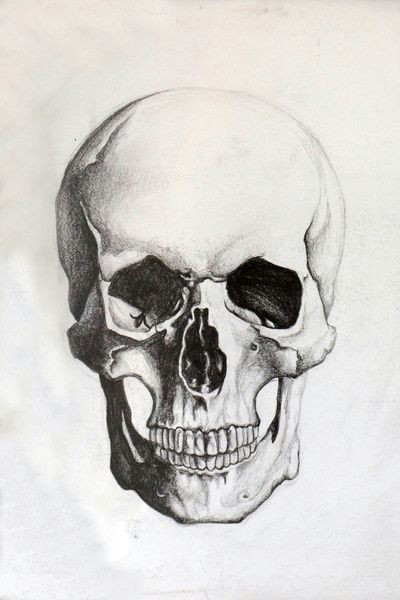 Skull Drawing Charcoal Skull Sketch Tattoo Skull Sketch Drawings Skull Art