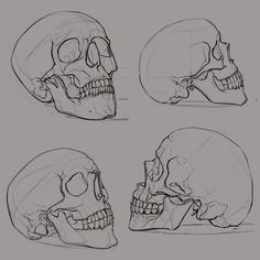 Skull Drawing Class Realistic Skull Drawing Realistic Skull Drawing How to Draw A Skull