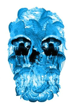 Skull Drawing Color 54 Best Skull Illustration Images Skull Drawings Mexican Skulls