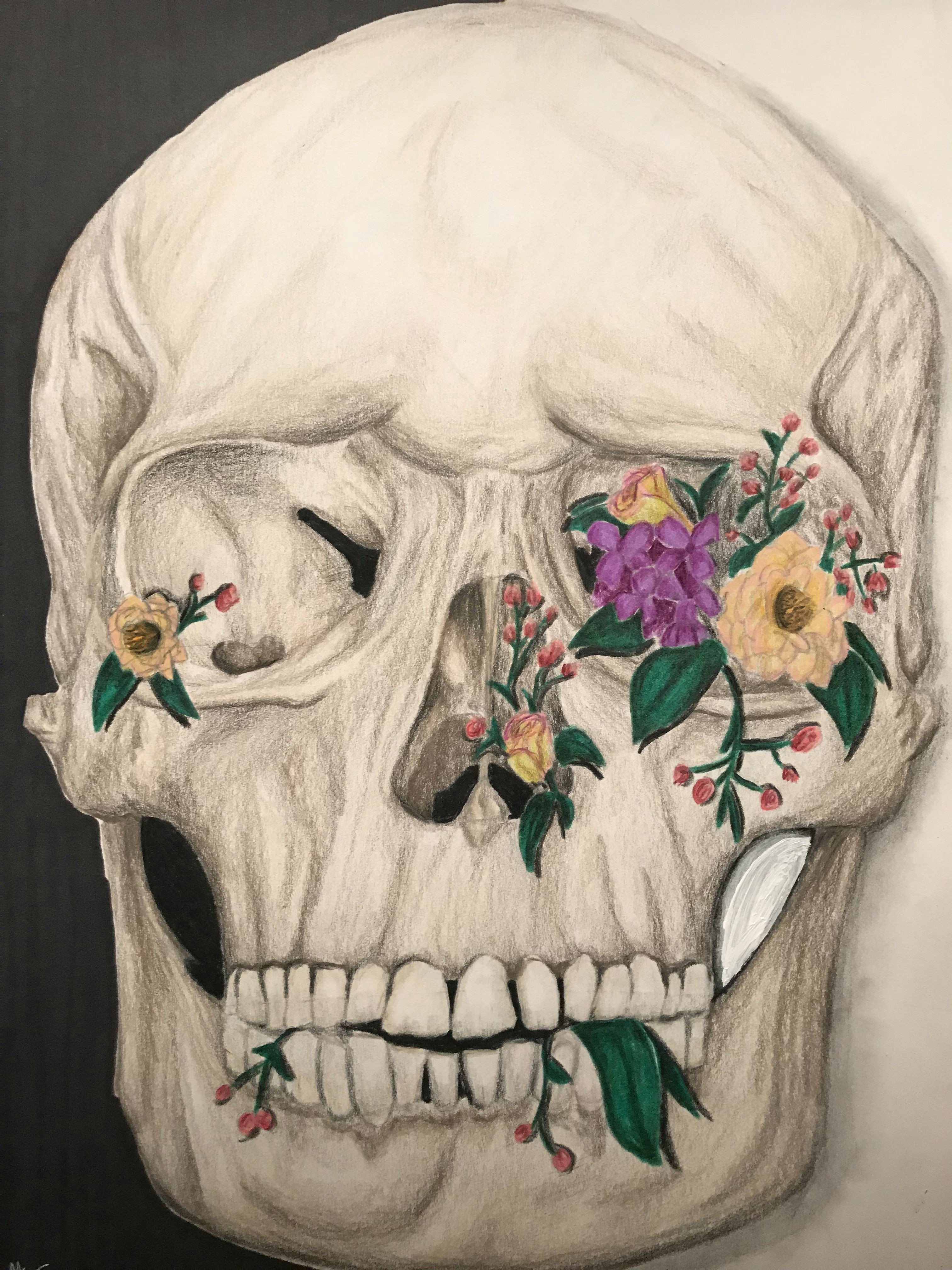 Skull Drawing Colour Beauty is within original Colored Pencil Drawing Of Skull with