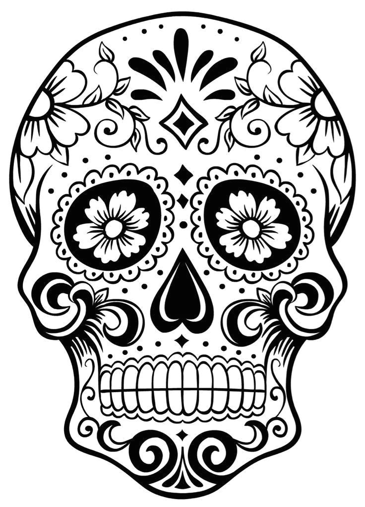 Skull Drawing Colour Skull Coloring Pages for Adults Beautiful Skull Coloring Page