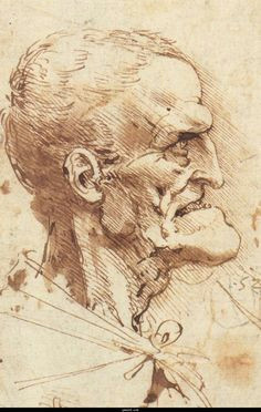 Skull Drawing Da Vinci 45 Best Leonardo S Sketches Images Da Vinci Drawings Drawing S