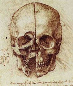 Skull Drawing Da Vinci 45 Best Leonardo S Sketches Images Da Vinci Drawings Drawing S