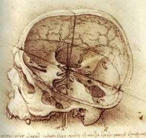 Skull Drawing Da Vinci Da Vinci Art Inspiration Pinterest Leonardo Da Vinci Da