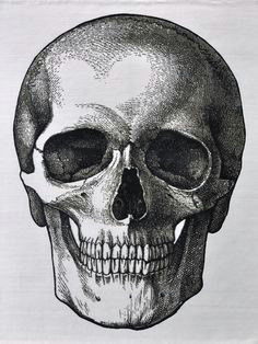 Skull Drawing Dark Vector Black and White Illustration Of Human Skull with A Lower Jaw