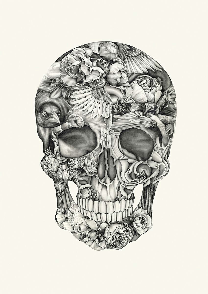Skull Drawing Digital Aviary and Ivory Tattoos Pinterest Illustrators