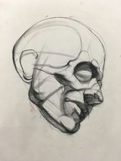 Skull Drawing Figure 175 Best Realistic Refs Images Anatomy Drawing Figure Drawing