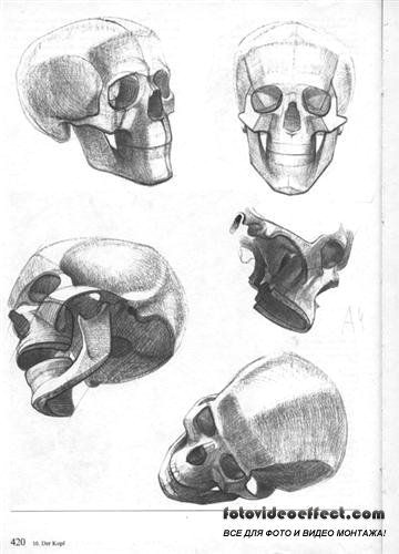 Skull Drawing Figure Pin by Mt Brooks On Human Bones Pinterest Skull Drawings and