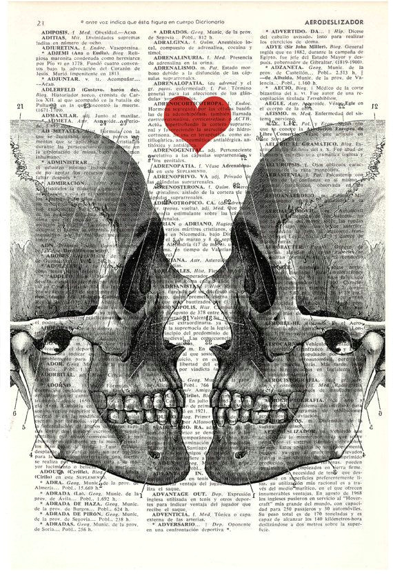 Skull Drawing for Wall Wall Art Skull Book Print Death Means Nothing to Us Dictionary Book